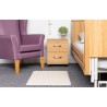 Wireless Floor Plus Alertamat, Fall Prevention Mat for Dementia and High-Risk Users