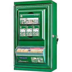 Cederroth Mini First Aid Cabinet