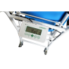 Marsden M-225 Chair Scale, Class III Approved, 250kg Capacity, BMI & BSA Calculation