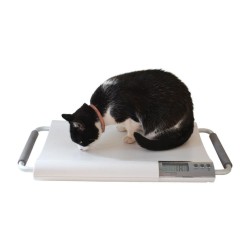 Marsden V-20 Small Veterinary Scale, 20kg Capacity, Ideal for Cats and Small Dogs