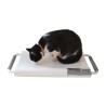 Marsden V-20 Small Veterinary Scale, 20kg Capacity, Ideal for Cats and Small Dogs