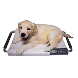 Marsden V-20 Small Veterinary Scale, 20kg Capacity, Ideal for Cats and Small Dogs