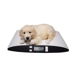 Marsden V-25 Veterinary Scale, 25kg Capacity, Ideal for Cats and Small Dogs.