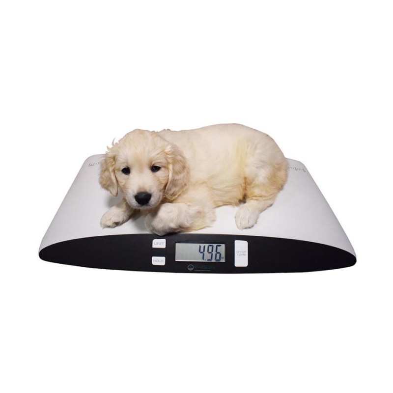 Marsden V-25 Veterinary Scale, 25kg Capacity, Ideal for Cats and Small Dogs.