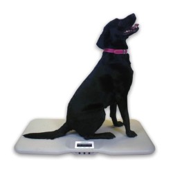 Marsden V-110 Veterinary Scale, 150kg Capacity, Lightweight Animal Scale for Larger Pets.