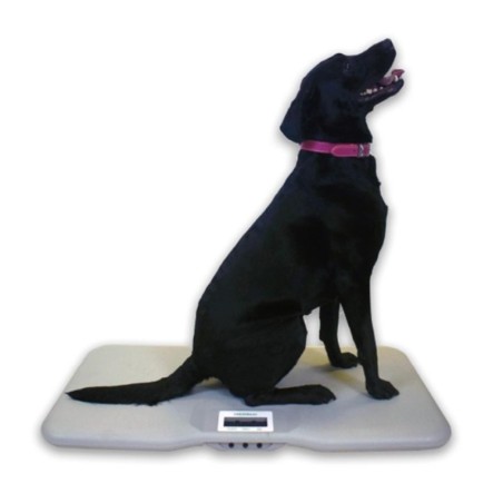Marsden V-110 Veterinary Scale, 150kg Capacity, Lightweight Animal Scale for Larger Pets.