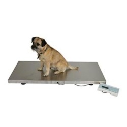Marsden V-250 Large Veterinary Scale, 250kg Capacity, Stainless Steel Platform