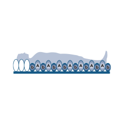 Alerta Pearl Overlay System, Advanced Alternating Pressure Relief for Medium to High-Risk Users